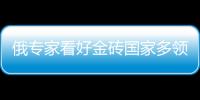 俄專家看好金磚國家多領域發展前景和優勢