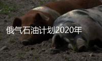 俄氣石油計劃2020年實現1億噸/年的油氣產量