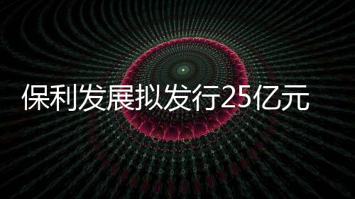 保利發(fā)展擬發(fā)行25億元中票,用于項(xiàng)目開發(fā)建設(shè)