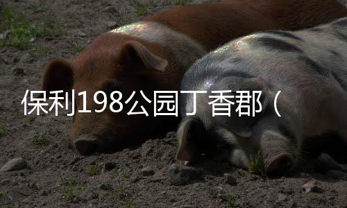 保利198公園丁香郡（保利198公園）