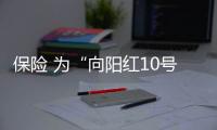 保險 為“向陽紅10號”保駕護航