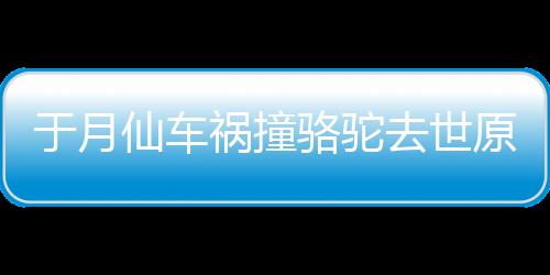 于月仙車禍撞駱駝去世原因