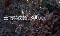 云南特崗招1800人，昭通考生注意，今年有4大變化