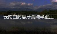 云南白藥靠牙膏賺半壁江山 混改后凈利增速23年新低