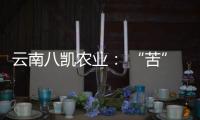 云南八凱農業： “苦”中有樂 “蕎”中有甜