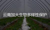 云南加大生物多樣性保護力度筑牢生態(tài)安全屏障