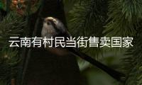 云南有村民當街售賣國家保護動物果子貍、豹貓等，警方：已立案調查