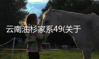 云南油杉家系49(關于云南油杉家系49簡述)