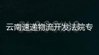 云南速遞物流開發(fā)法院專遞“E鍵送達”平臺