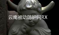 云南被動防護網RX