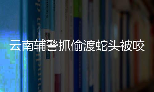 云南輔警抓偷渡蛇頭被咬斷手指太心疼