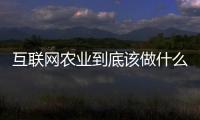 互聯(lián)網(wǎng)農(nóng)業(yè)到底該做什么？