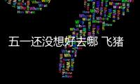 五一還沒想好去哪 飛豬66元機票盲盒自選出發地隨機飛全國