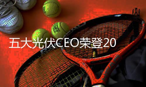 五大光伏CEO榮登2012福布斯中國A股CEO薪酬榜,行業(yè)資訊