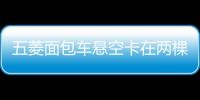 五菱面包車懸空卡在兩棵樹中間紋絲不動