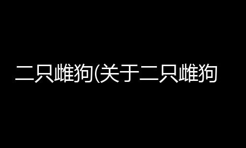 二只雌狗(關(guān)于二只雌狗簡述)