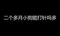 二個多月小狗能打針嗎多少錢？二個月小狗可以打疫苗嗎