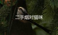 二手煙對(duì)貓咪