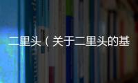 二里頭（關(guān)于二里頭的基本情況說明介紹）