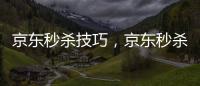 京東秒殺技巧，京東秒殺百分百秒殺訣竅