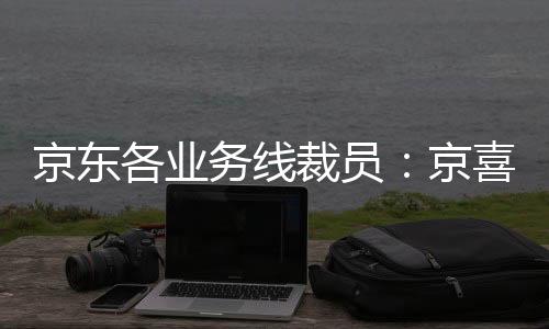 京東各業務線裁員：京喜事業群成重災區  核心零售業務未受波及