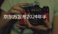 京東方發布2024年半年度業績預告