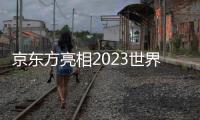 京東方亮相2023世界顯示產業大會