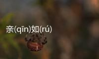 親(qīn)如(rú)手(shǒu)足(zú)到底什么情況?