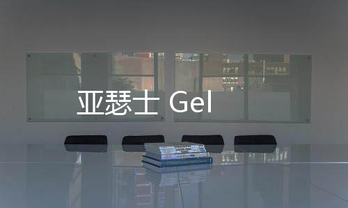 亞瑟士 Gel