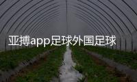 亞搏app足球外國足球app大贏家足球即時比入