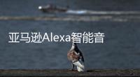 亞馬遜Alexa智能音箱教唆孩子用硬幣去觸碰通電充電器插腳