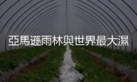 亞馬遜雨林與世界最大濕地在燃燒，加速氣候崩潰