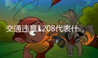 交通違章1208代表什么（交通違章1208）