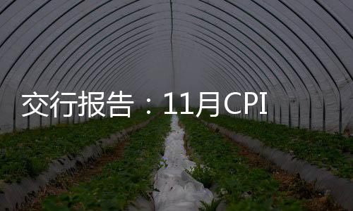 交行報告：11月CPI約4.3% 四季度加速回落