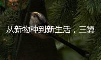 從新物種到新生活，三翼鳥獲“年度智慧生活新物種”獎