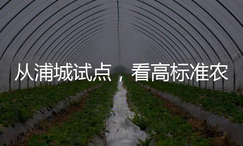 從浦城試點，看高標準農田怎么建