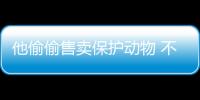 他偷偷售賣保護動物 不料遇上警察“買家”