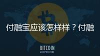 付融寶應該怎樣樣？付融寶可靠嗎？付融寶安全嗎？