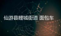 仙游縣鯉城街道 面包車不禮讓斑馬線行人釀慘劇