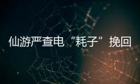 仙游嚴查電“耗子”挽回損失200多萬