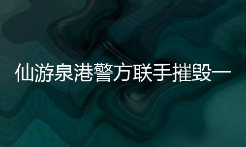 仙游泉港警方聯手摧毀一跨區盜銷摩托車團伙 10人落網