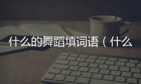 什么的舞蹈填詞語（什么的舞蹈）