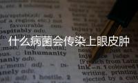 什么病菌會傳染上眼皮腫了(鳥有什么病菌會傳染給人類)