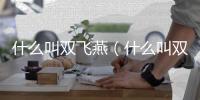 什么叫雙飛燕（什么叫雙飛）