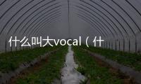 什么叫大vocal（什么叫大v）