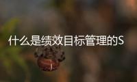 什么是績效目標管理的SMART原則（什么是績效目標）