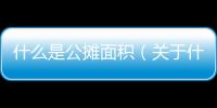 什么是公攤面積（關(guān)于什么是公攤面積的基本情況說明介紹）