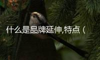什么是品牌延伸,特點（什么是品牌延伸）