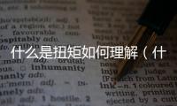 什么是扭矩如何理解（什么是扭矩）