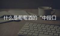 什么是葡萄酒的“中段口感”？